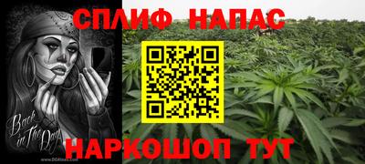 гидра Уссурийск